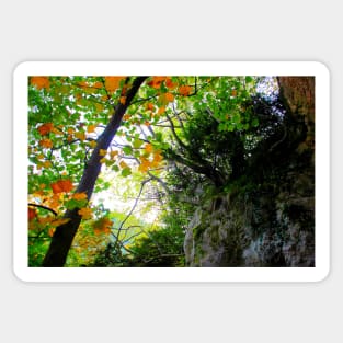 Scenery from Eremo di Soffiano in Sarnano between the Sibillini Mountains with foliage Sticker